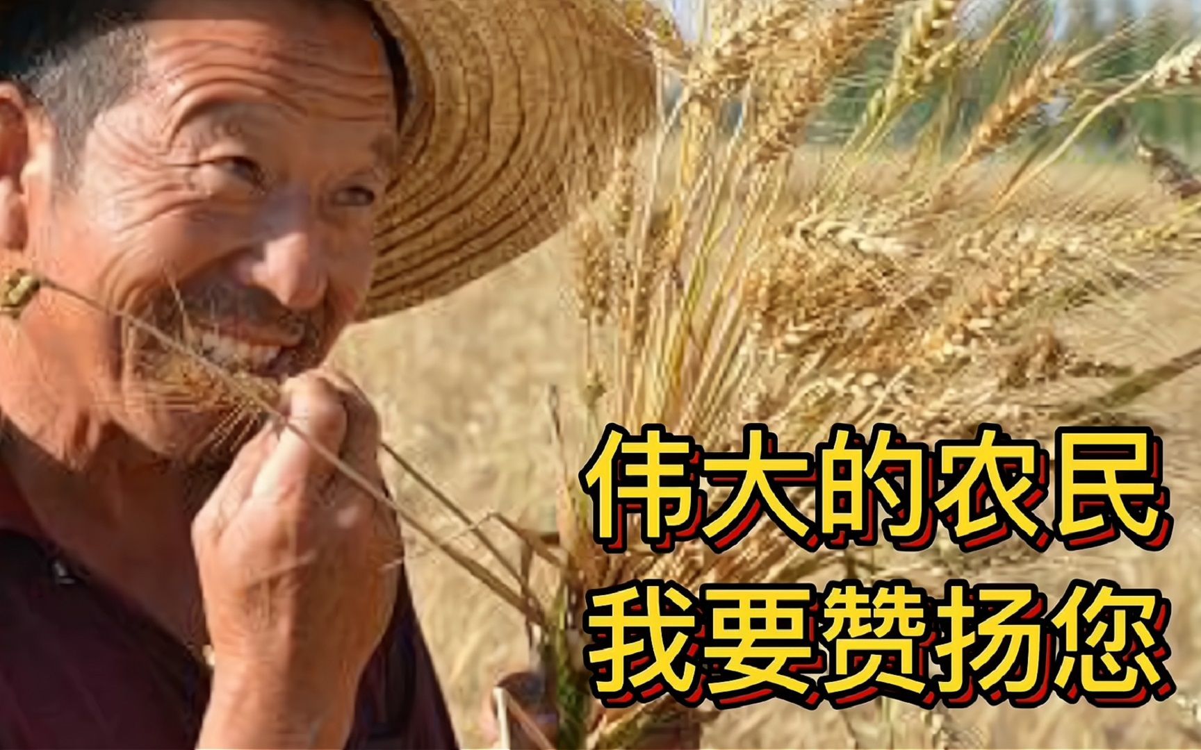 农民是勤劳平凡伟大的因为有你们的付出才会有我们的富足