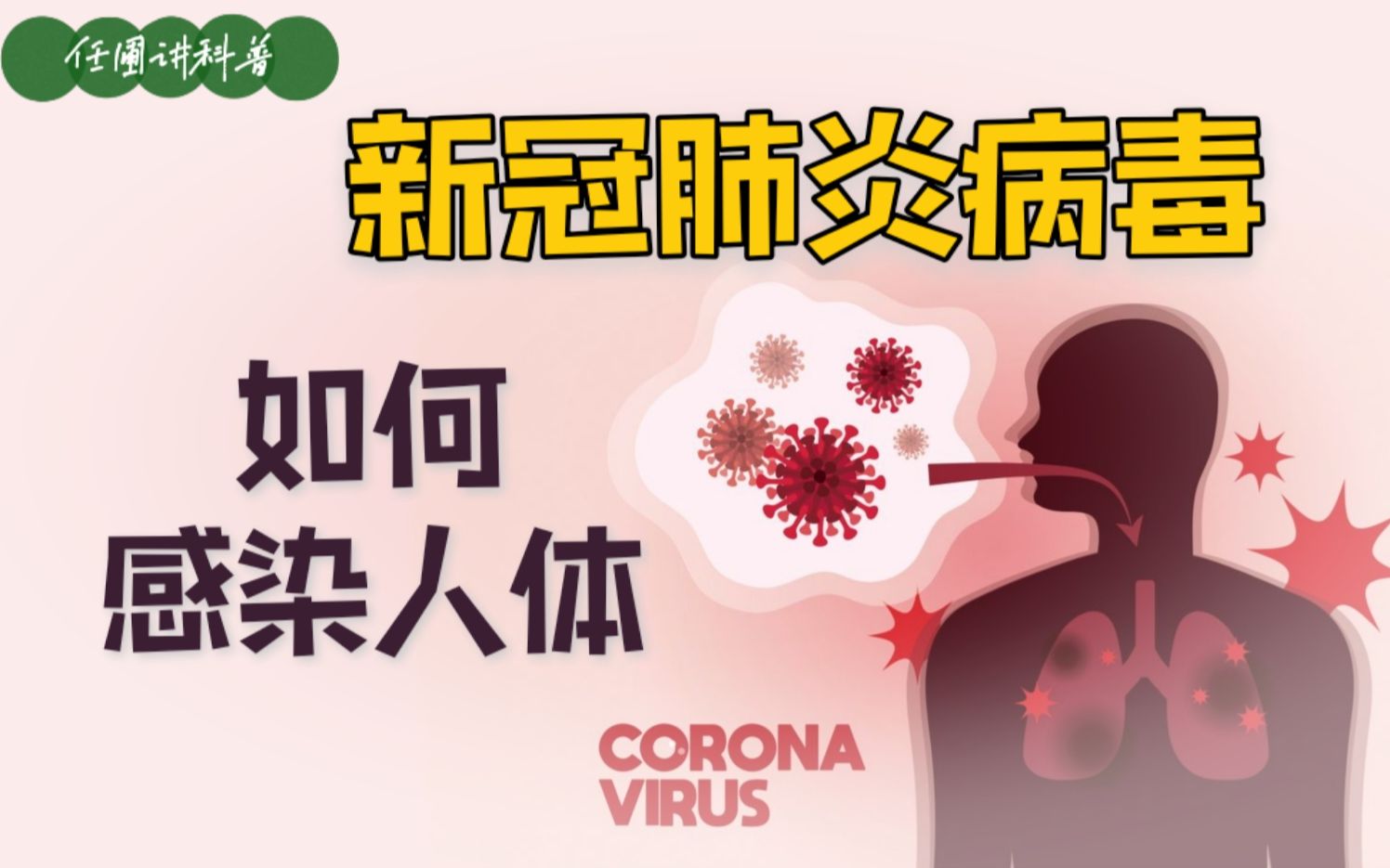 【任圃讲科普】新冠肺炎病毒是如何感染与繁衍的?