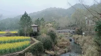 Скачать видео: 国清寺之行