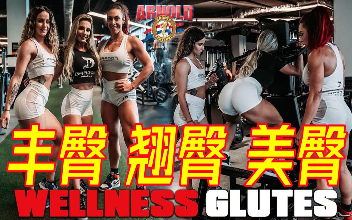 【磐石健美】IFBB PRO 比基尼健美小姐 六维空间 丰满翘臀超级训练 | 三位巴西翘臀美女全面臀部塑形 ISA PEREIRA 阿诺德传统健美赛 健康小姐哔哩哔哩...