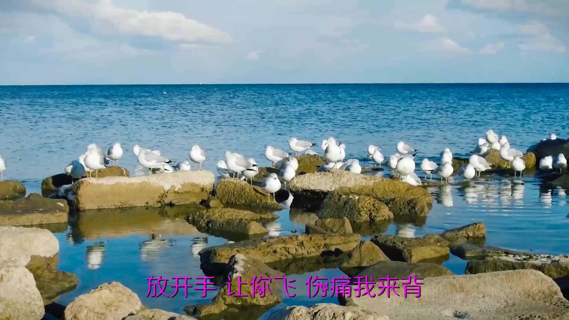 经典老歌100首怀旧连播痴情为了谁dj阿远版