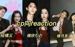 Download Video: 王鹤棣cp向reaction