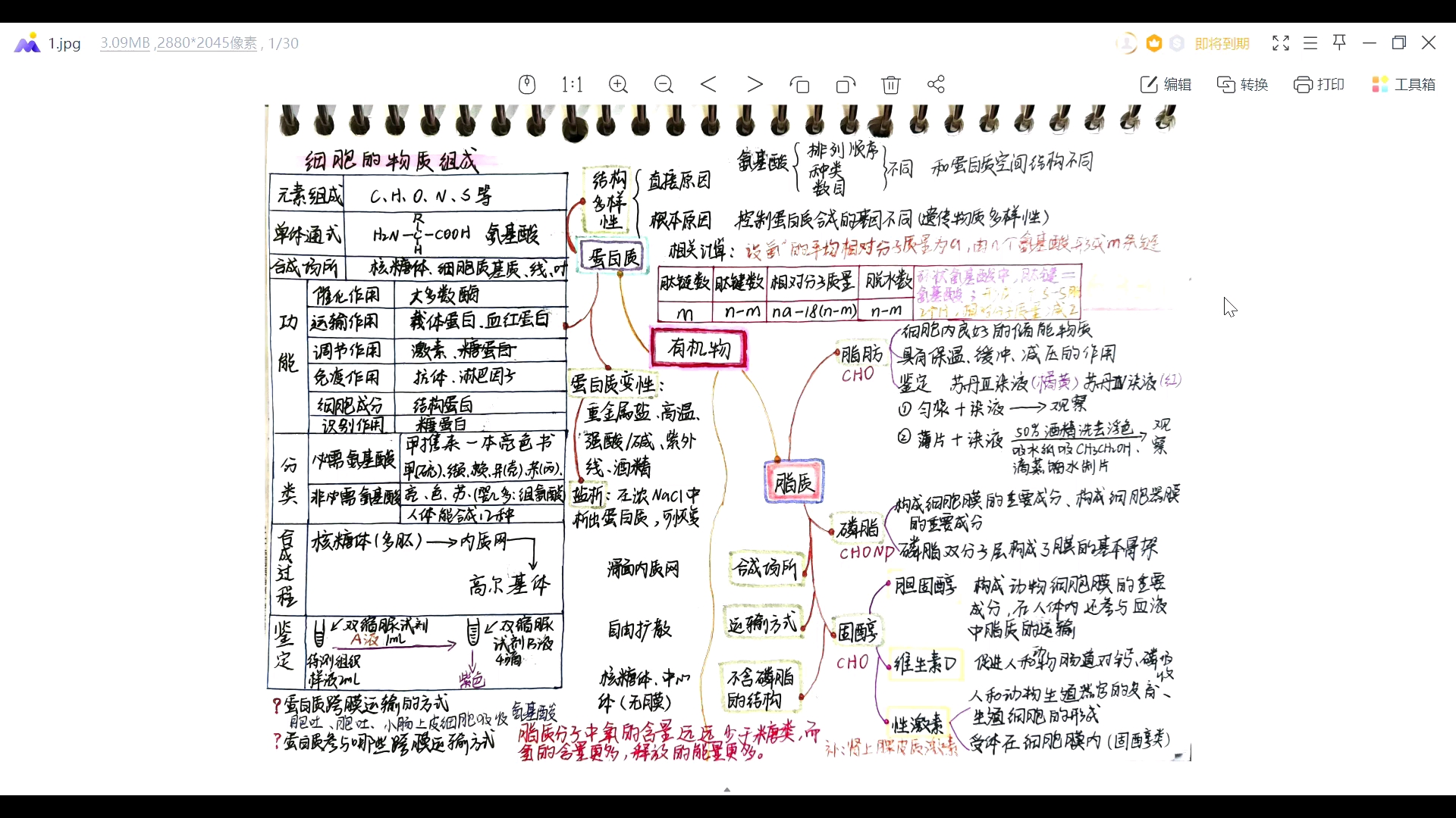 生物笔记慢速版,缺笔记的进!哔哩哔哩bilibili