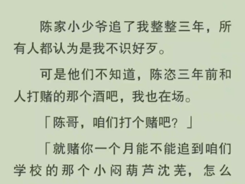 陈恣追了我整整三年,都说我不识好歹,可他们不知道,他打赌说要追我时我也在场哔哩哔哩bilibili