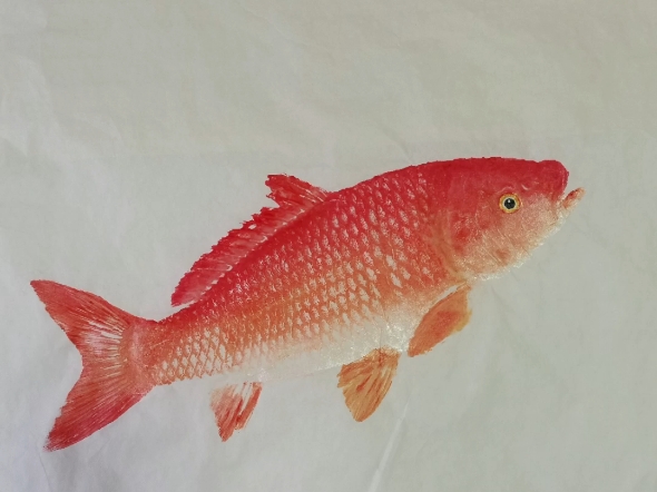 鲤鱼鱼拓画
