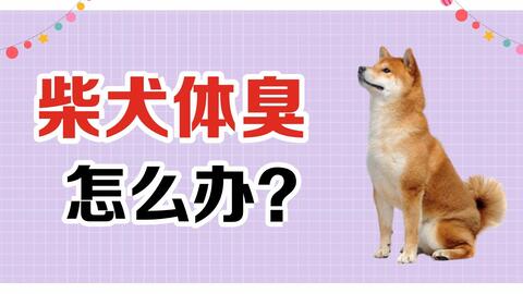 狗狗产后需要补钙吗 哔哩哔哩 狗狗产后需要补钙吗 哔哩哔哩