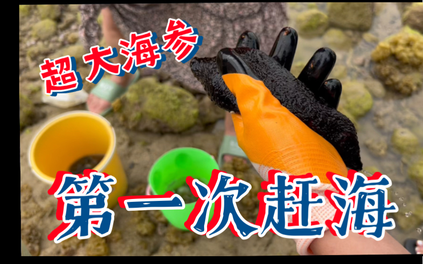 大庆赶海,但是新手素人版
