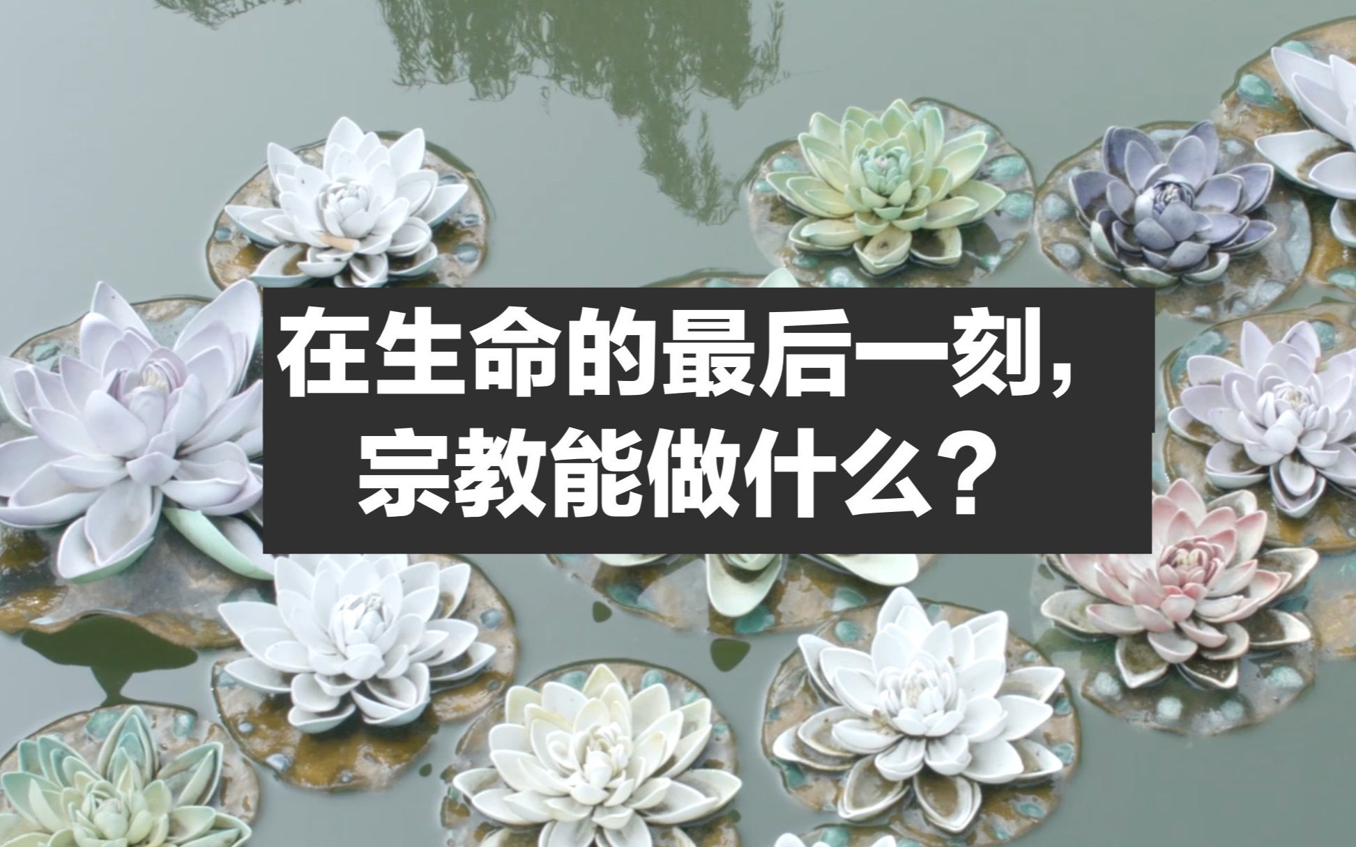 [图]【临终关怀系列】宗教在生命的最后一刻，能做什么？