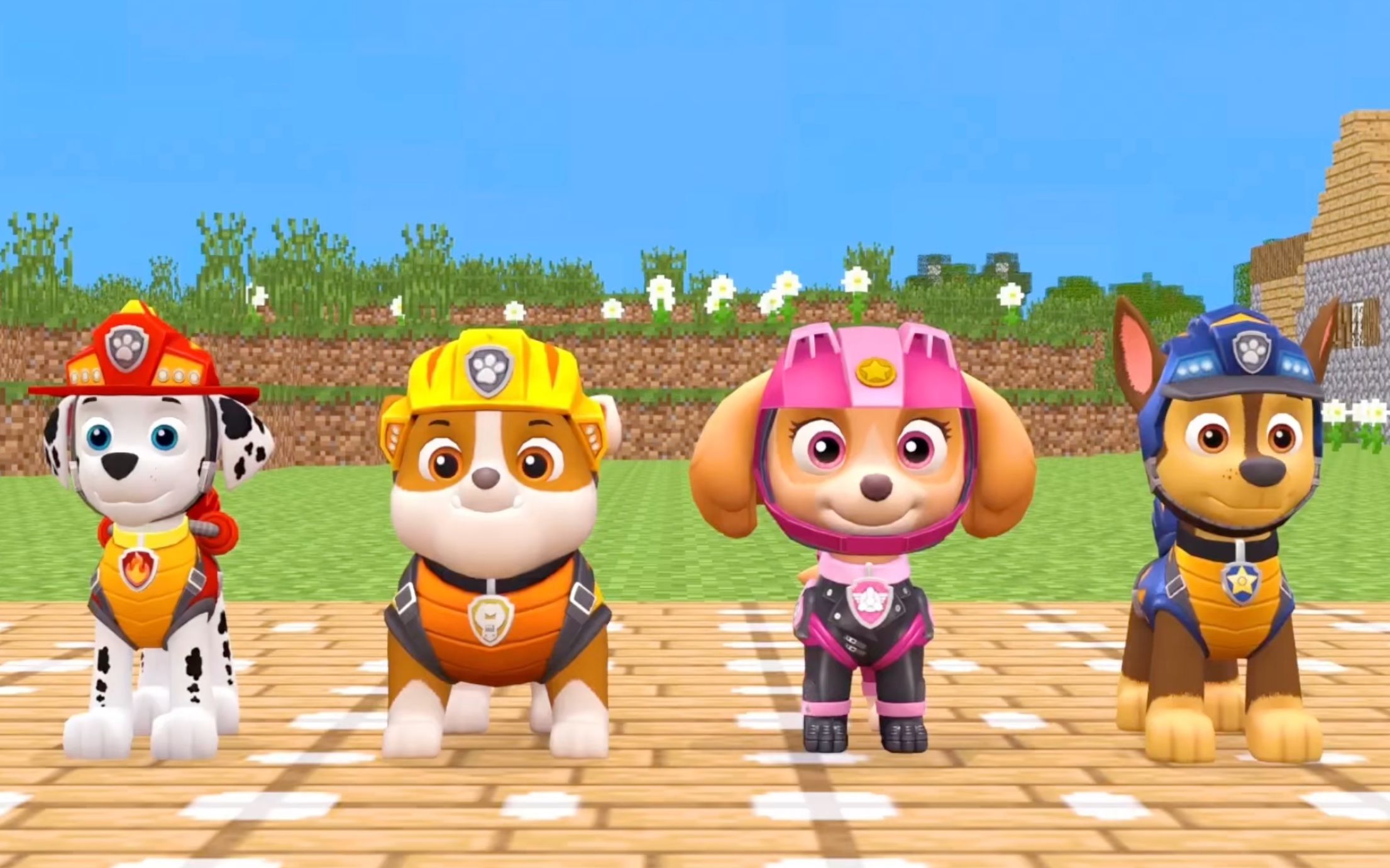 儿童动画:5个汪汪队中的队友开启闯关,毛毛这个时候挑战成功了