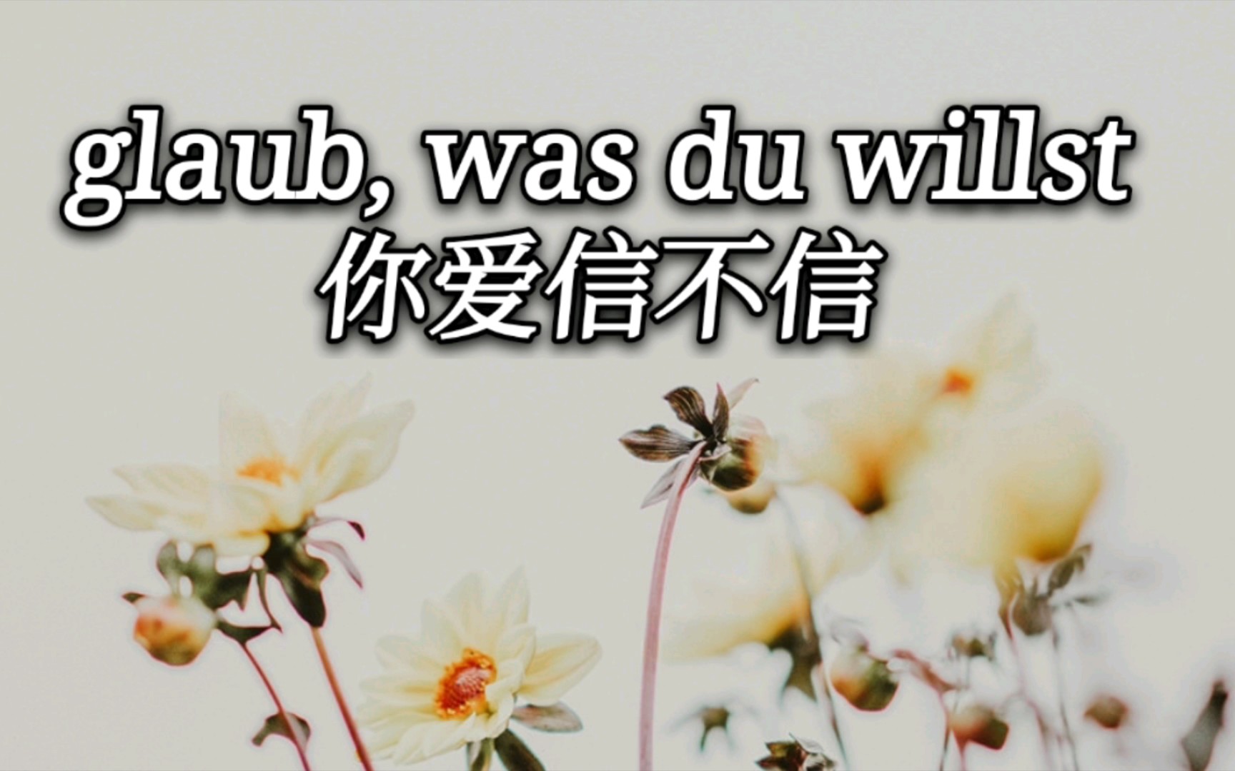 活动  看德剧学德语sturm der liebe爱信不信用德语怎么说