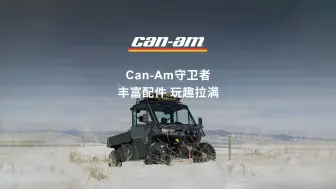 Descargar video: Can-Am守卫者 丰富配件 玩趣拉满