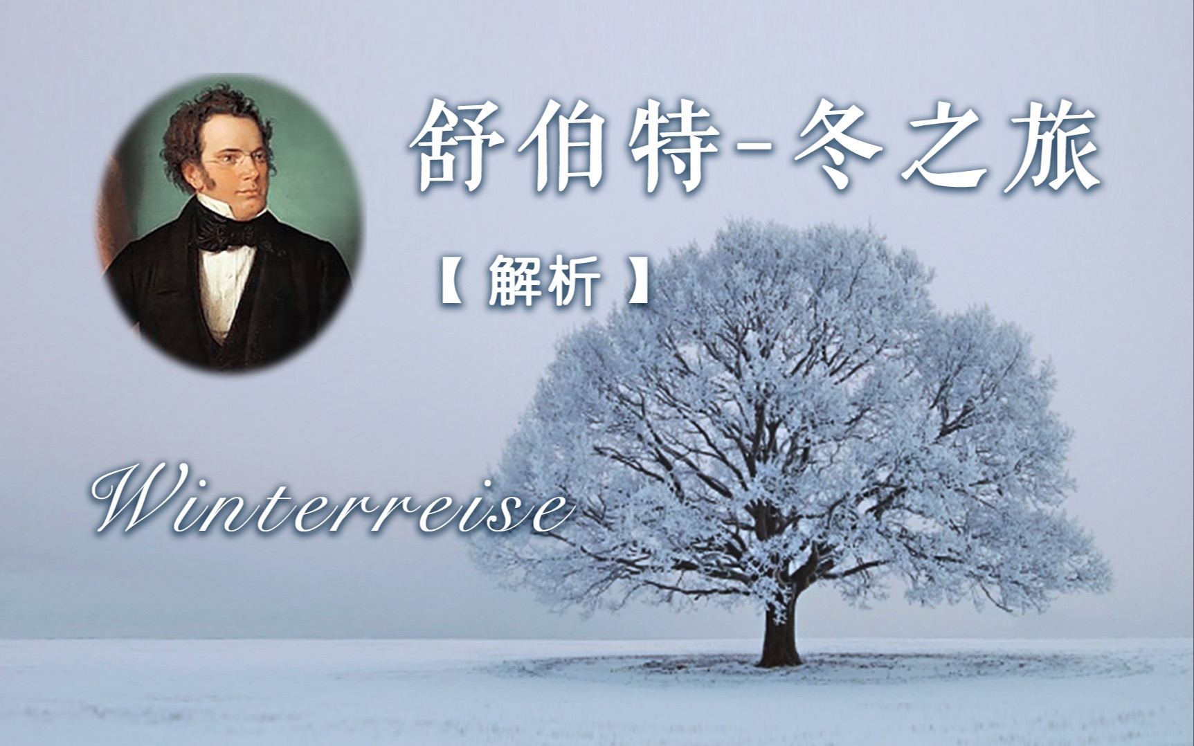 【音乐闲话】舒伯特音乐浅谈《冬之旅》winterreise feat. yves 小韩