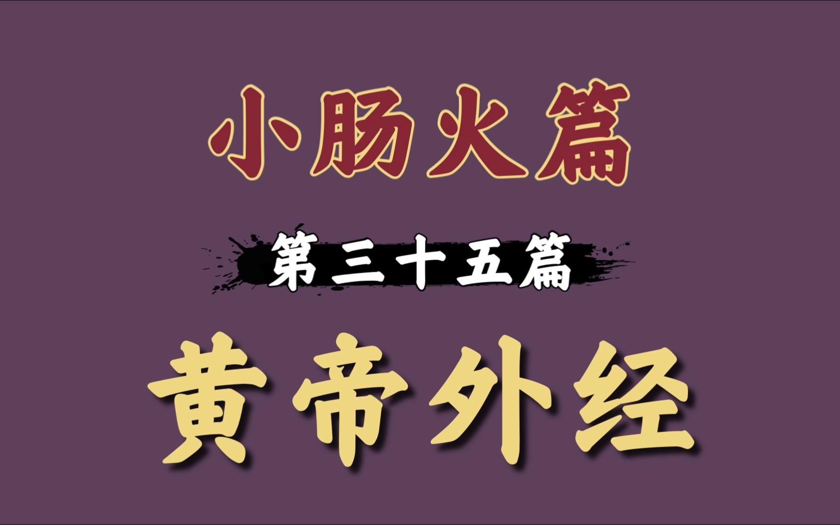 小肠:你们下三路没我行吗?35小肠火篇只说不打白话文精读黄帝外经哔哩哔哩bilibili