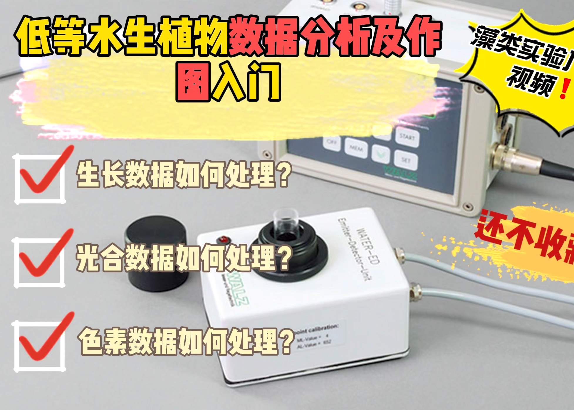 关于在藻类研究中涉及到的生长、光合、色素相关数据的进一步处理和作图的一个教学视频.哔哩哔哩bilibili