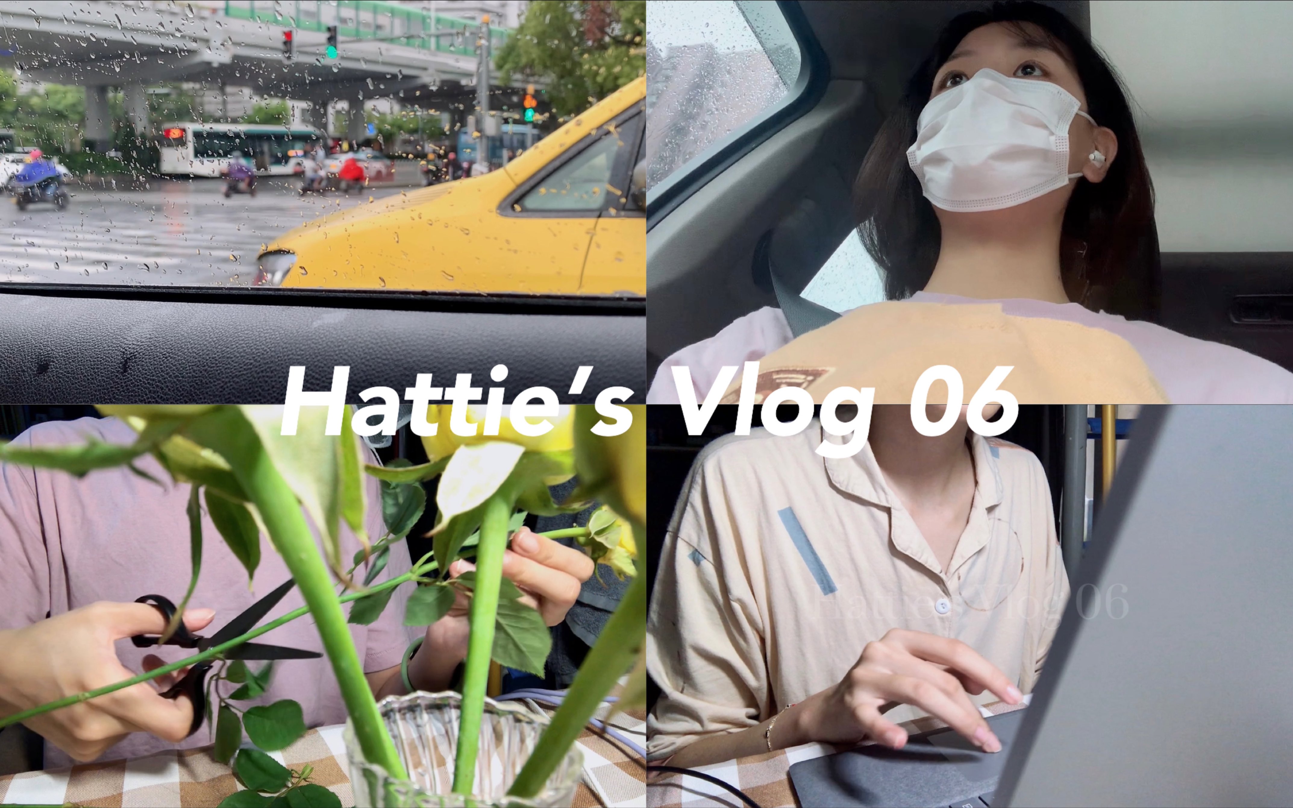 陈海棠[HATTIE'S VLOG 06]研究生实习日记/台风的那三天哔哩哔哩bilibili