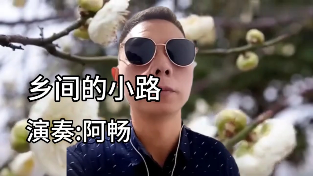 阿畅《乡间的小路》口哨版