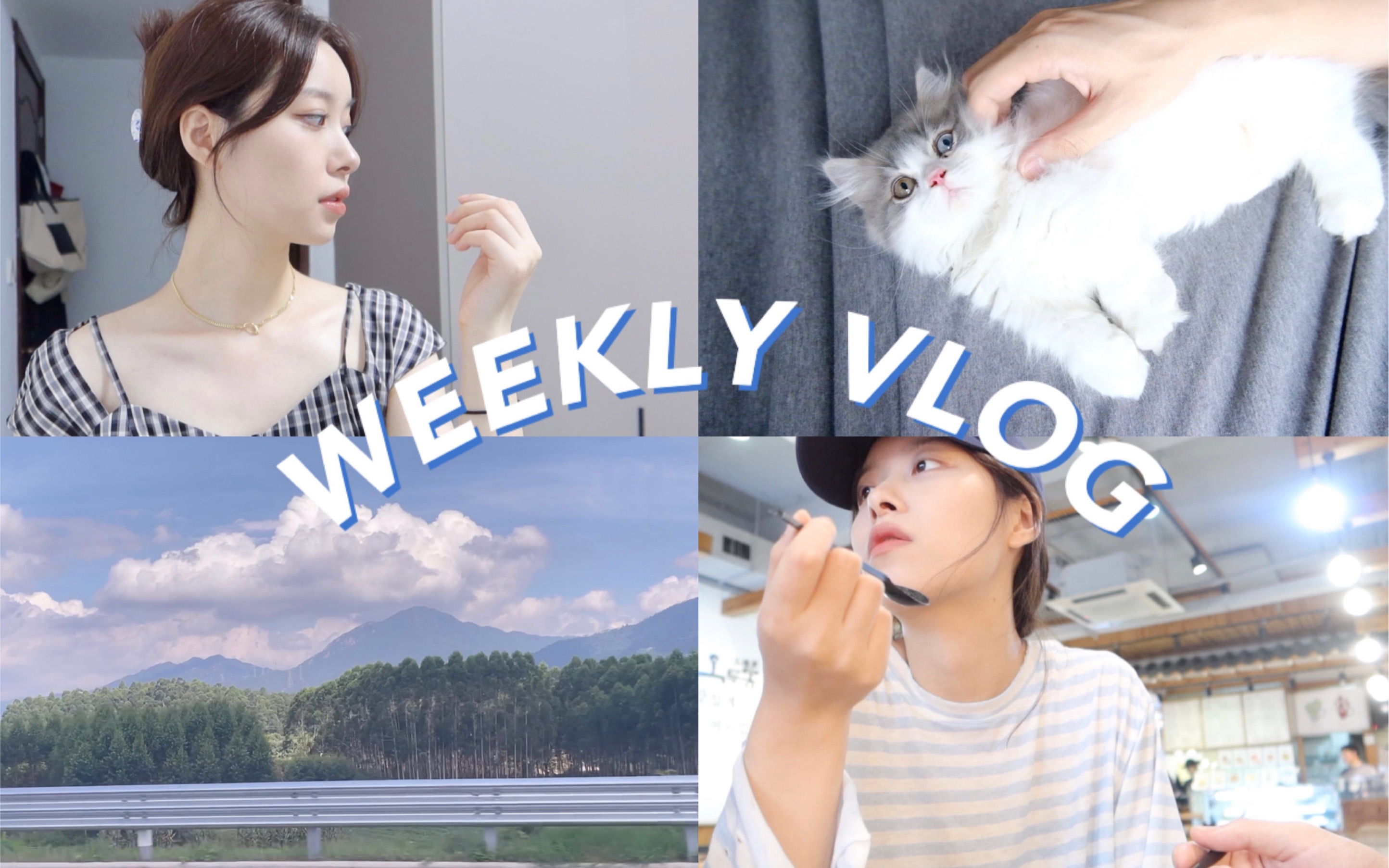 WEEKLY VLOG 家庭新成员辣妹来袭!爆笑漂流记 处理家庭关系的一周哔哩哔哩bilibili