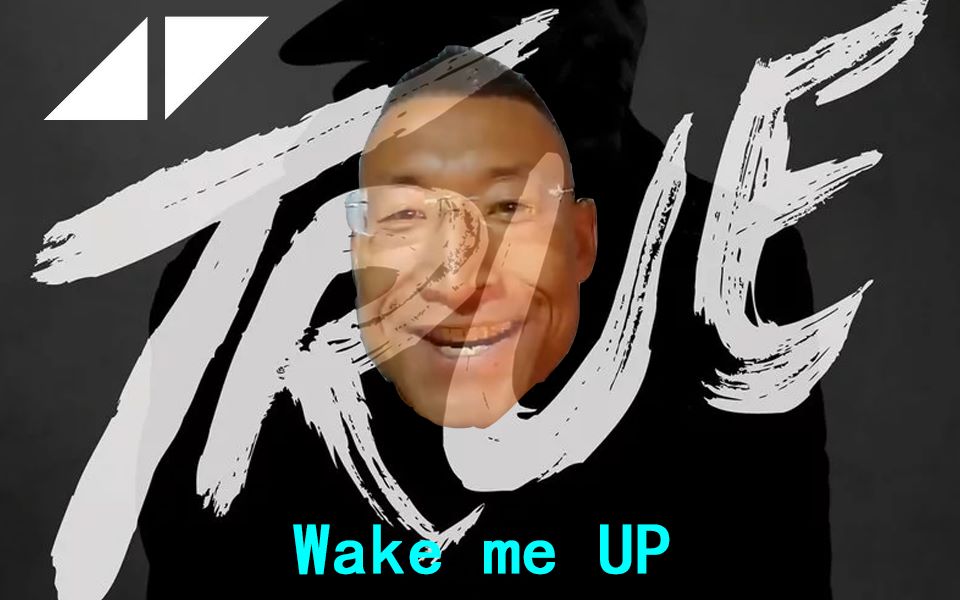 【奥利给金曲】Wake me up◢ ◤哔哩哔哩bilibili