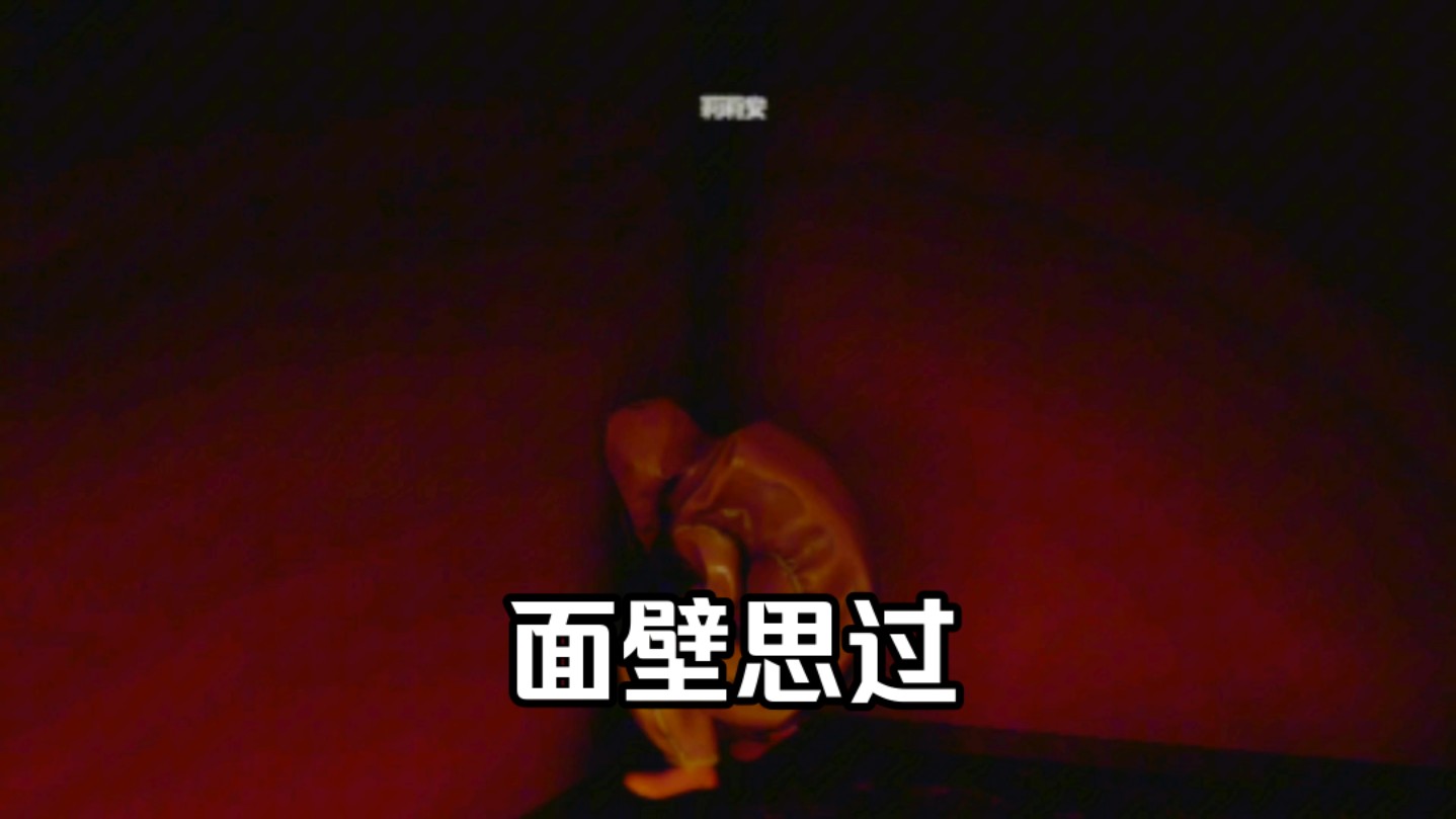 头塞进去就好啦