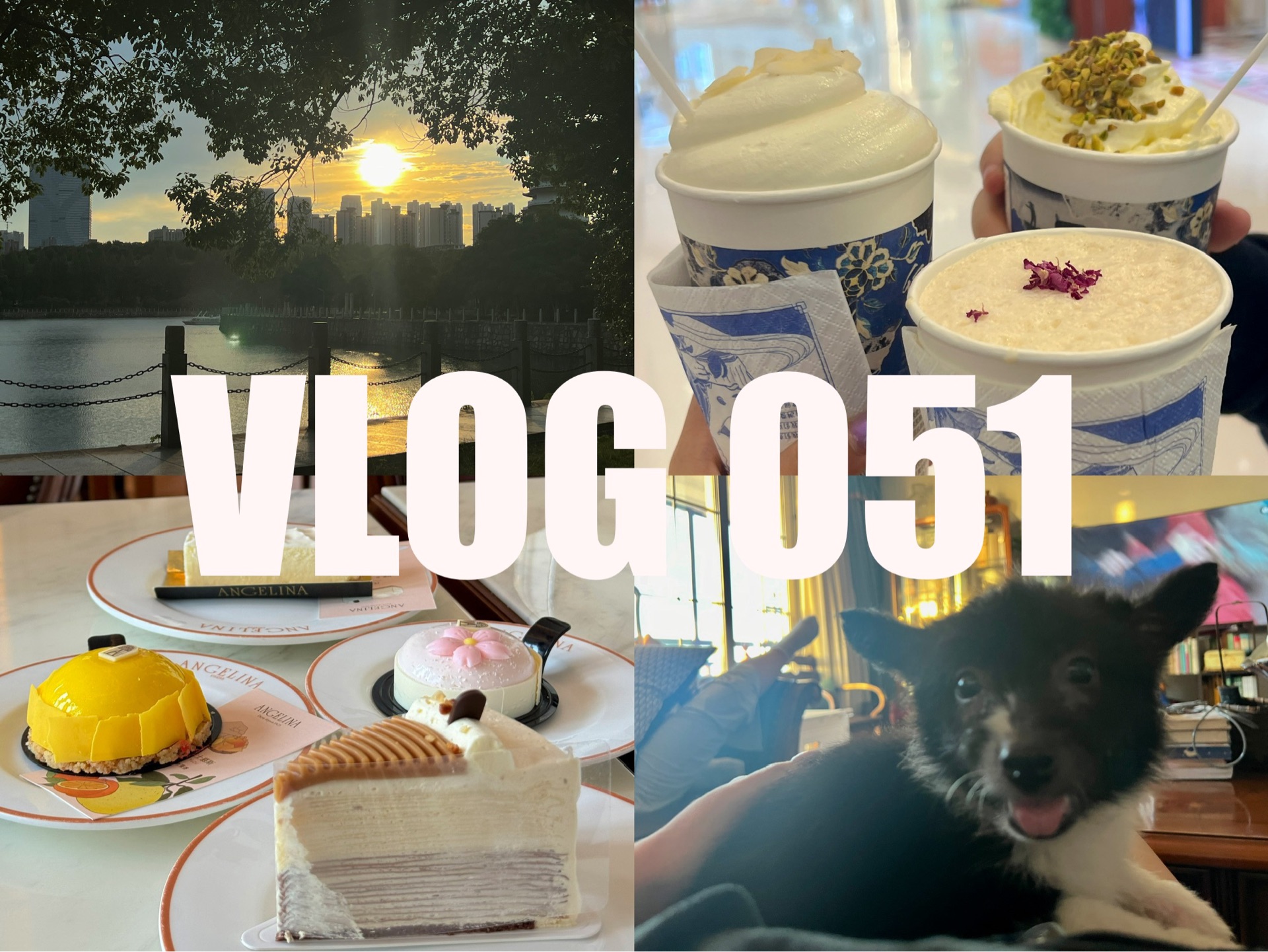 VLOG 051 | 返湘日记 | 老家生活流水账 | 上班实习 下班吃饭 | 会面新成员小狗布布 |上班的一周 | 外面是夏天哔哩哔哩bilibili