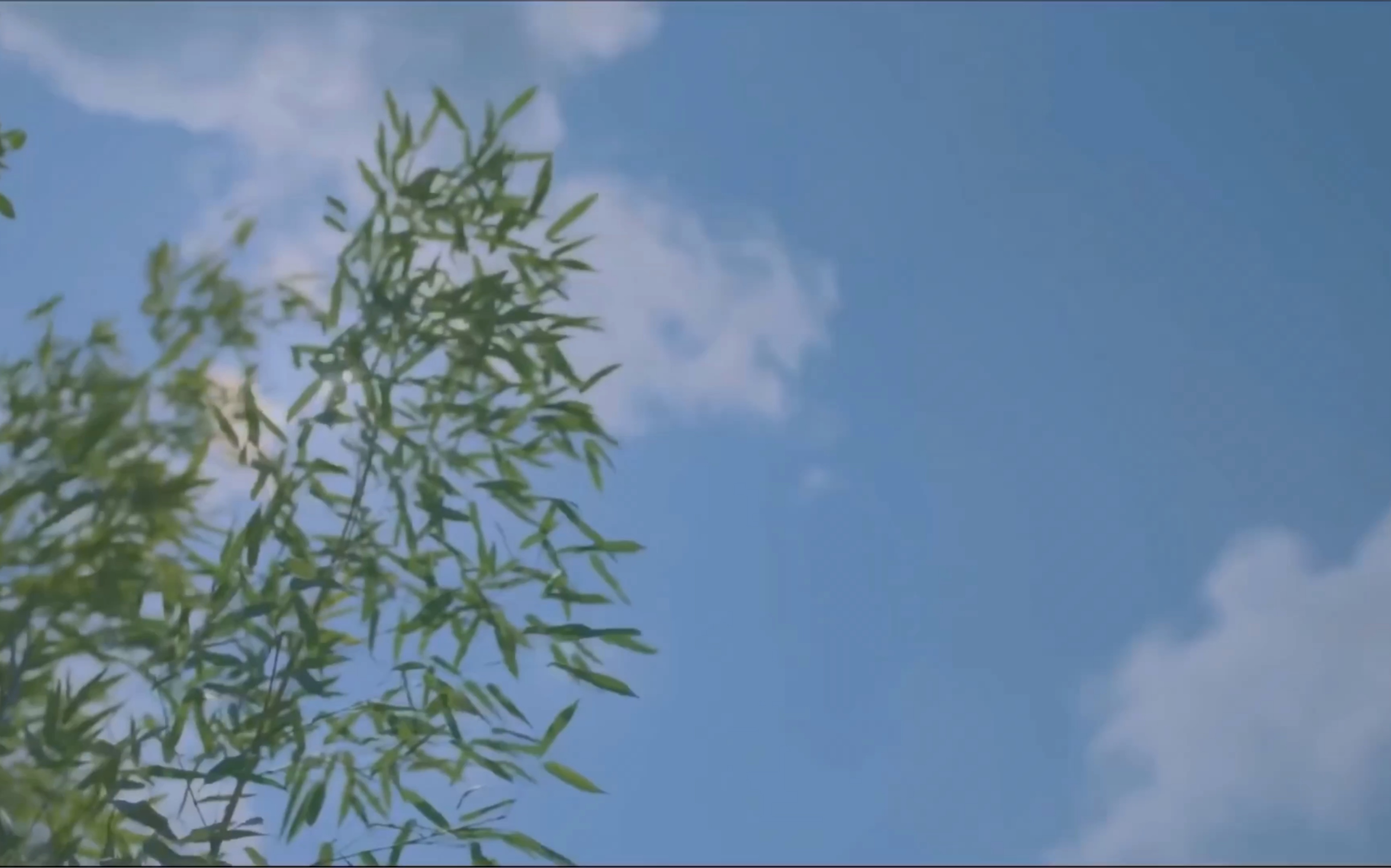 【tf家族】起风了|二代部分群像