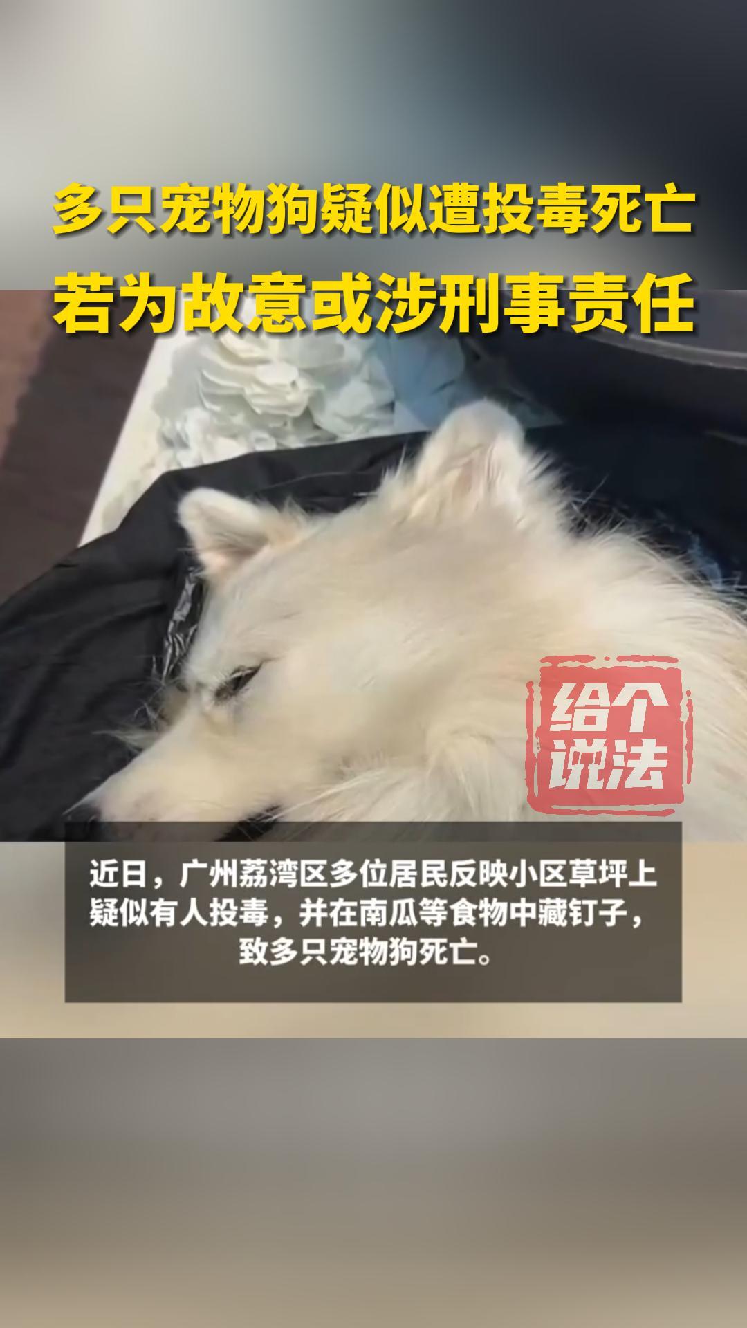 中毒身亡图片图片