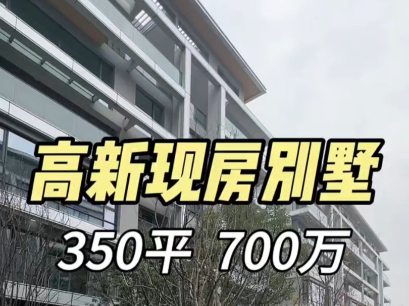 高新区350平现房别墅,你会愿意花700万买下它吗?哔哩哔哩bilibili