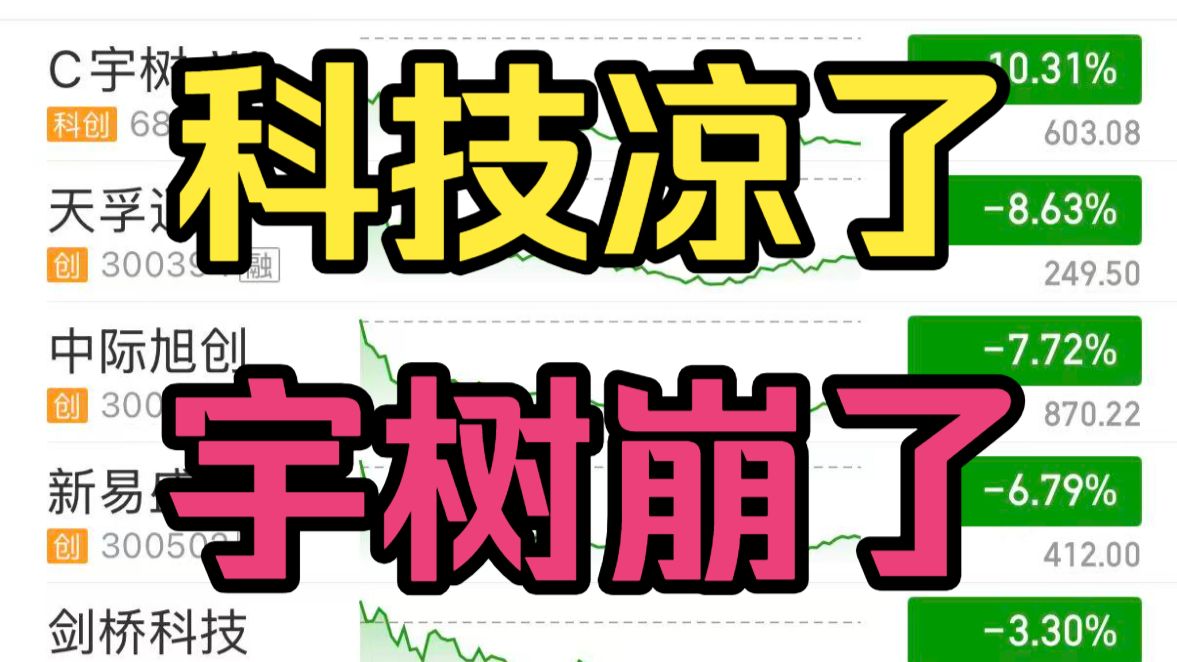 宇树上市4天接近腰斩，科技赛道再现踩踏！3965股下跌，创业板重挫3.21%！午后反弹也是骗炮？