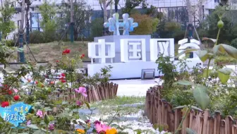 《向东看 新瑶海》第122期|中国网谷：建设一流软环境 提升产业硬实力