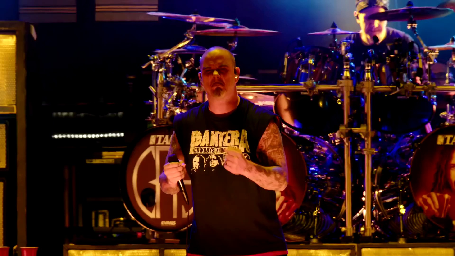 phil anselmo - strike of the beast