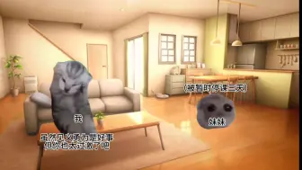 Download Video: 一生都在蹲局子边缘的我妹【猫meme】