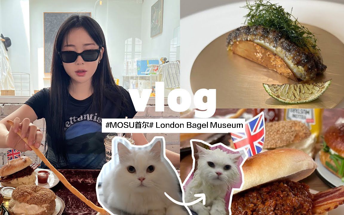 首尔热拍地VLOG丨生日周 米其林二星级店 MOSU首尔,London Bagel Museum,GRWM,给泡泡洗澡哔哩哔哩bilibili