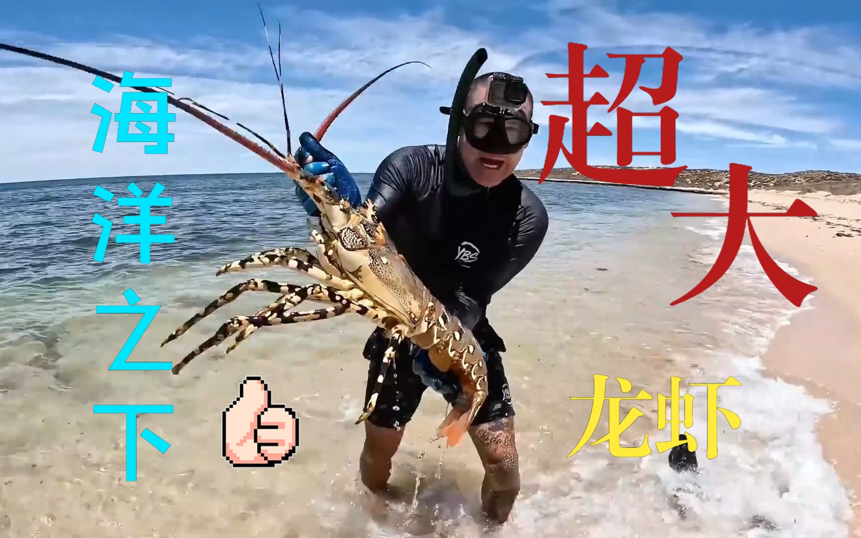 海洋之下——巨型野生大龙虾 - 视频下载 video downloader