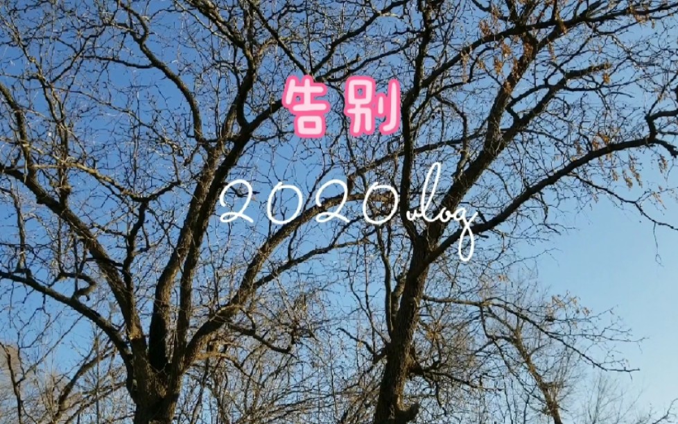 【庆庆的vlog】告别2020vlog_哔哩哔哩 (゜-゜)つロ 干杯~-bilibili