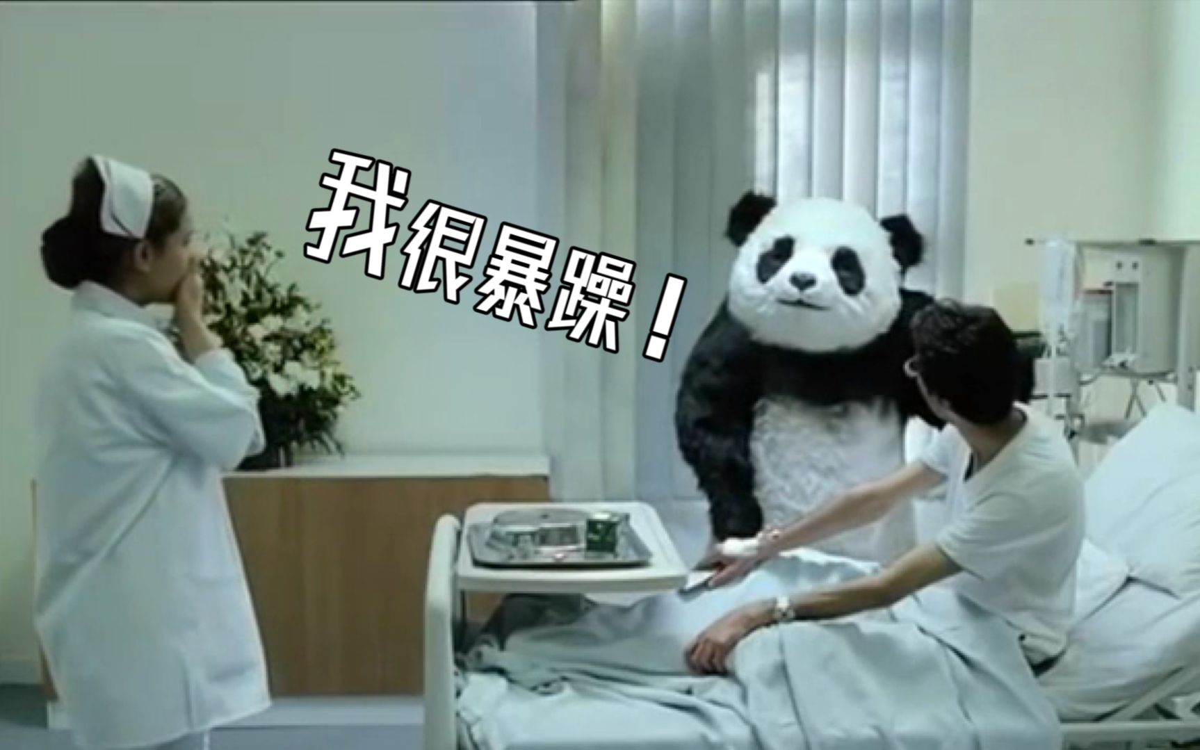 暴躁熊猫在线怼人,输液管都给你扯了,金花哥四川话配音自带魔性