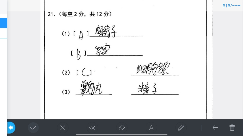 [图]很难不怀疑批卷老师的精神状态