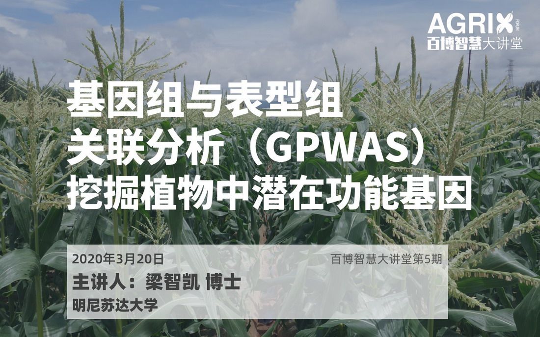 [图]基因组与表型组关联分析（GPWAS）挖掘植物中潜在功能基因