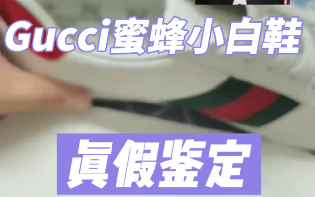 Gucci蜜蜂小白鞋 真假鉴定哔哩哔哩bilibili