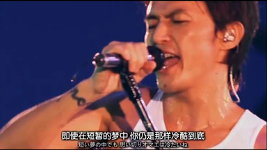 ミュージック B'z/Typhoon No.15 B'z LIVE-GYM The Final DVD Typhoon No.15 B'z LIVE-GYM The Final Pleasure 
