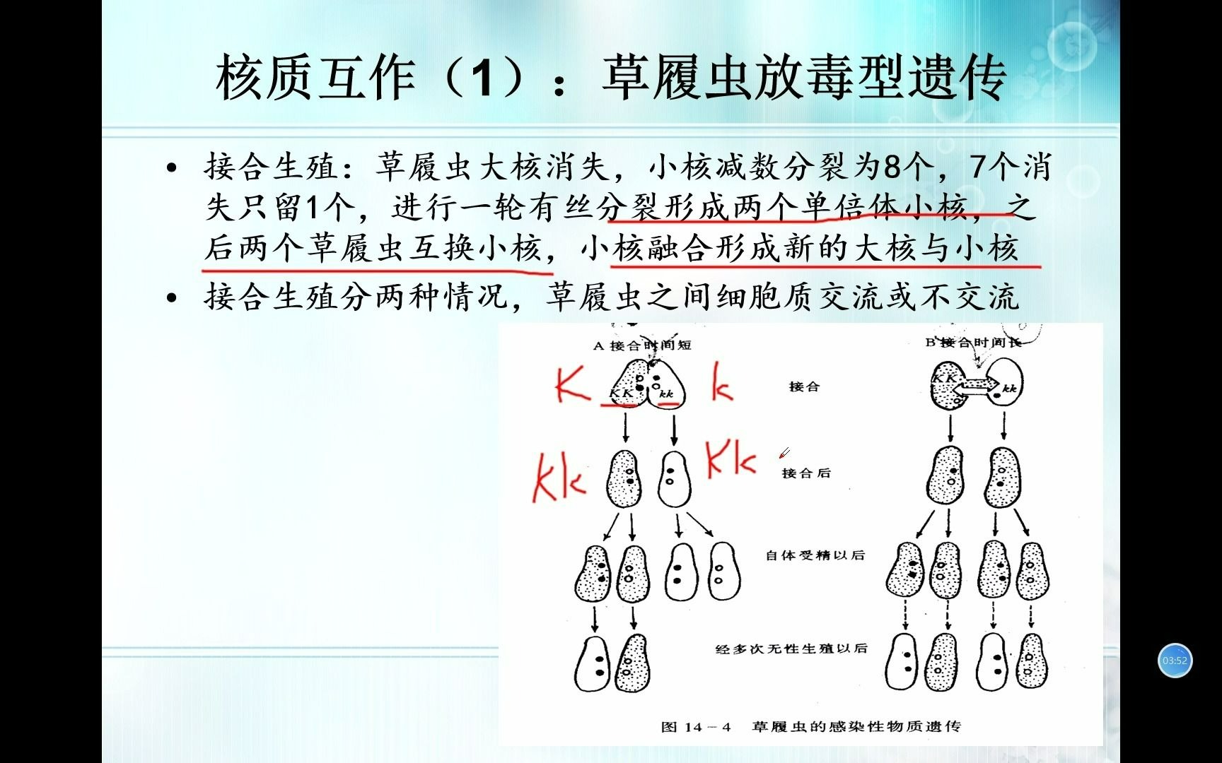 生物竞赛难点6遗传学核质互作与雄性不育哔哩哔哩bilibili