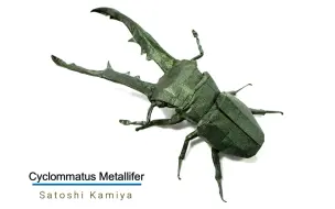 Descargar video: 【油管搬运】【折纸Origami】美他力佛细身赤锹·Cyclommatus Metallifer by Satoshi Kamiya·神谷哲史