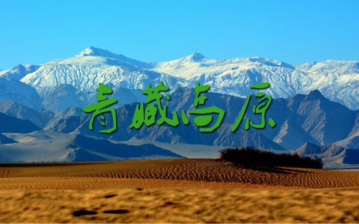 青藏高原还记得那个海豚音王子vitas吗维塔斯唱中国歌曲
