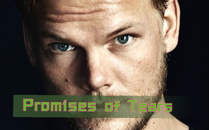 [图]【Avicii】珍藏ID：Promises of Tears 清晰Vocal版本