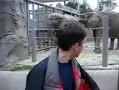 YouTube的第一个视频