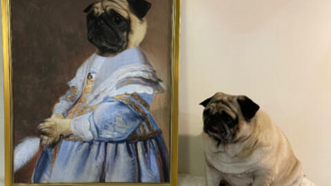 小狗也有肖像画 哔哩哔哩