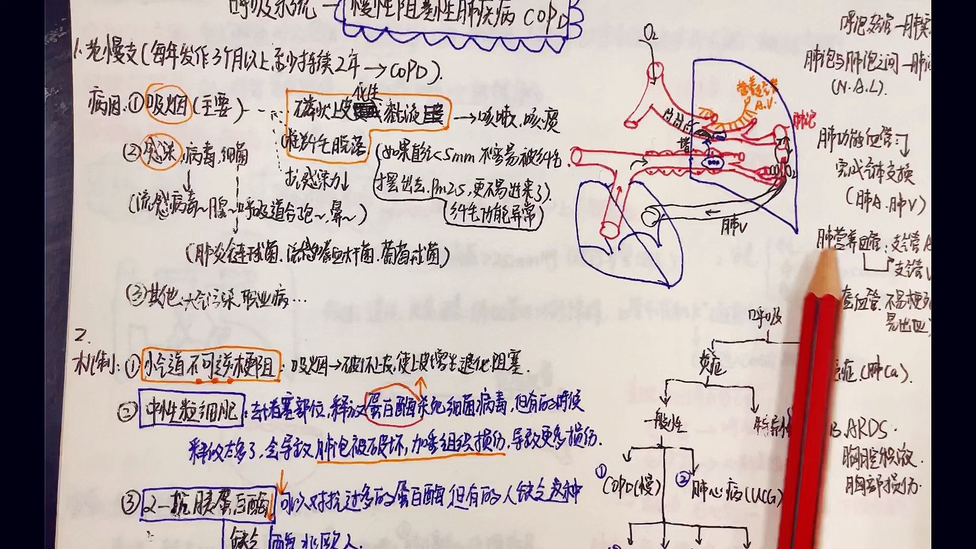 [图]护理考研-内科-呼吸系统1慢性阻塞性肺疾病COPD