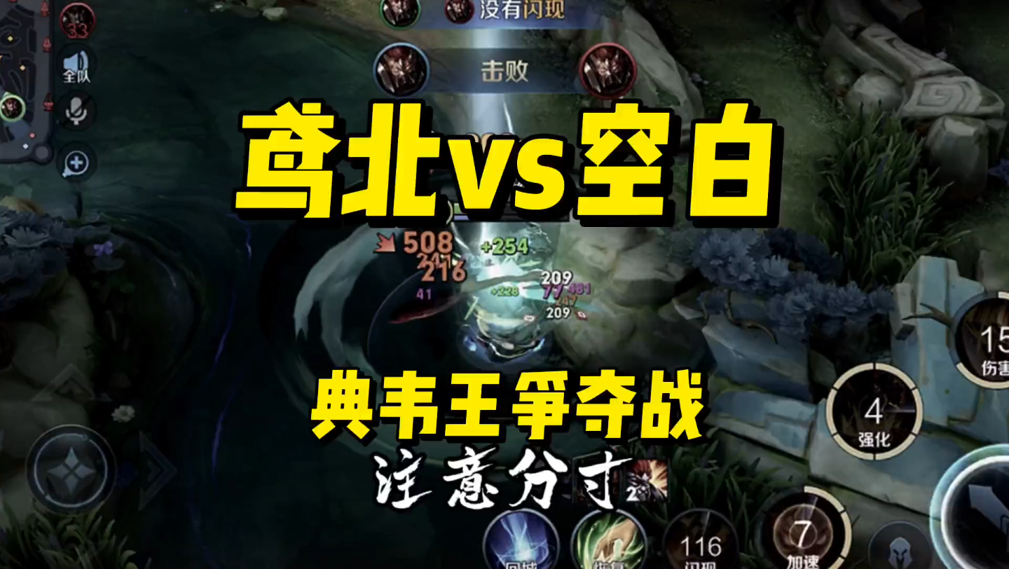 空白(国服全能) #国服典韦七鸢北