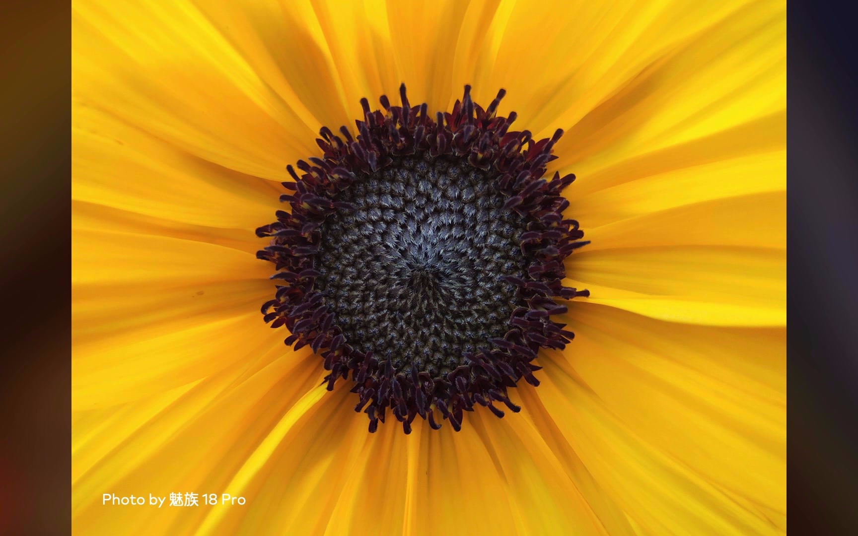 魅族 m8 & 魅族 18 pro 手机影像变迁