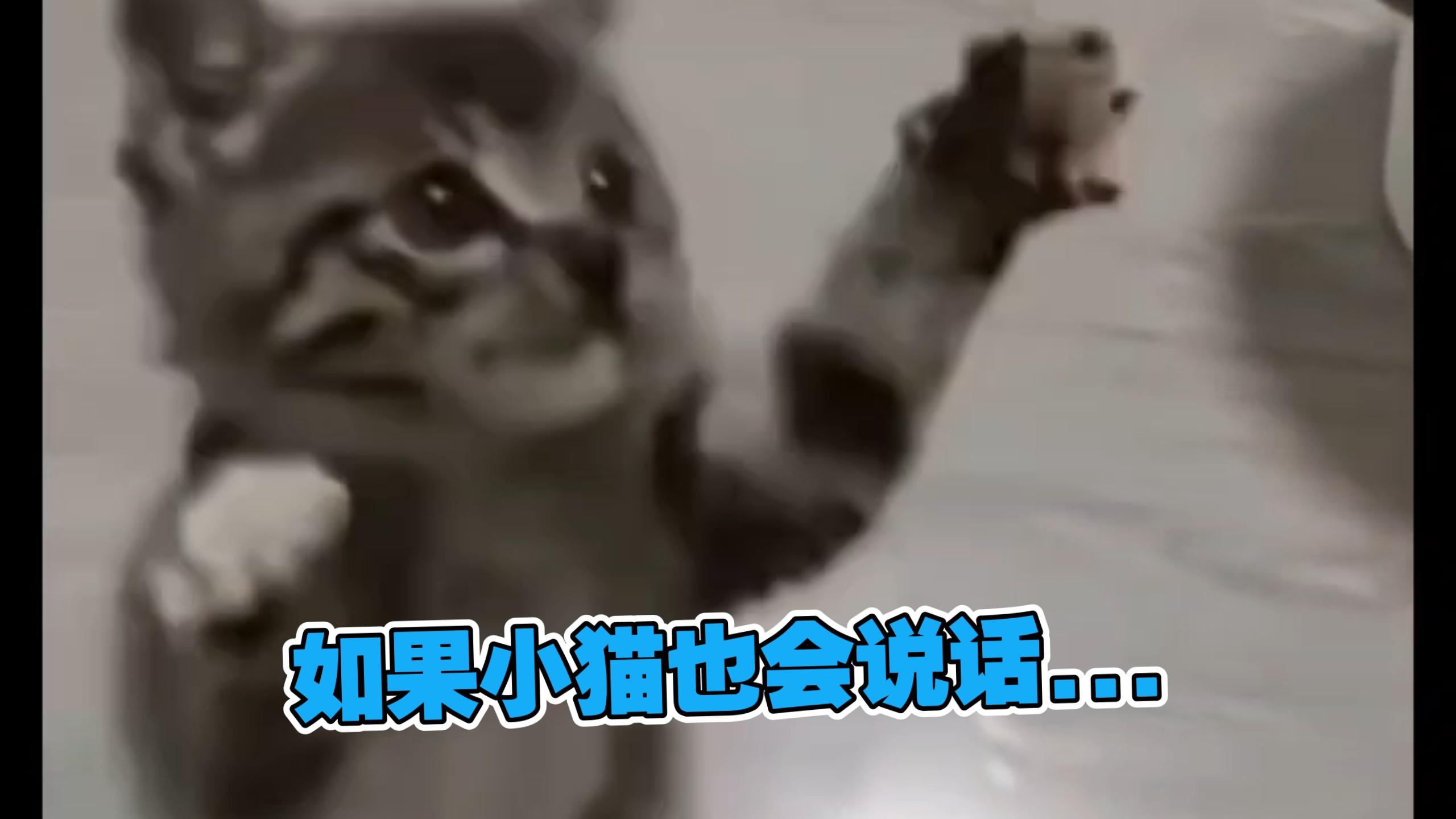 给我饭?！！！