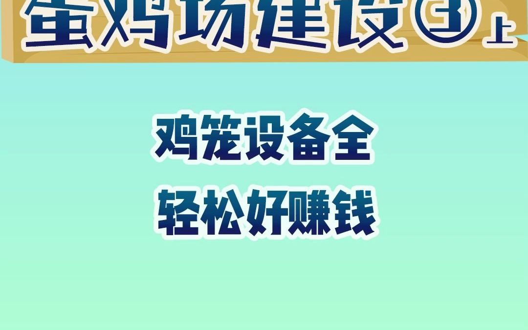 鸡笼设备全,养鸡轻松好赚钱哔哩哔哩bilibili